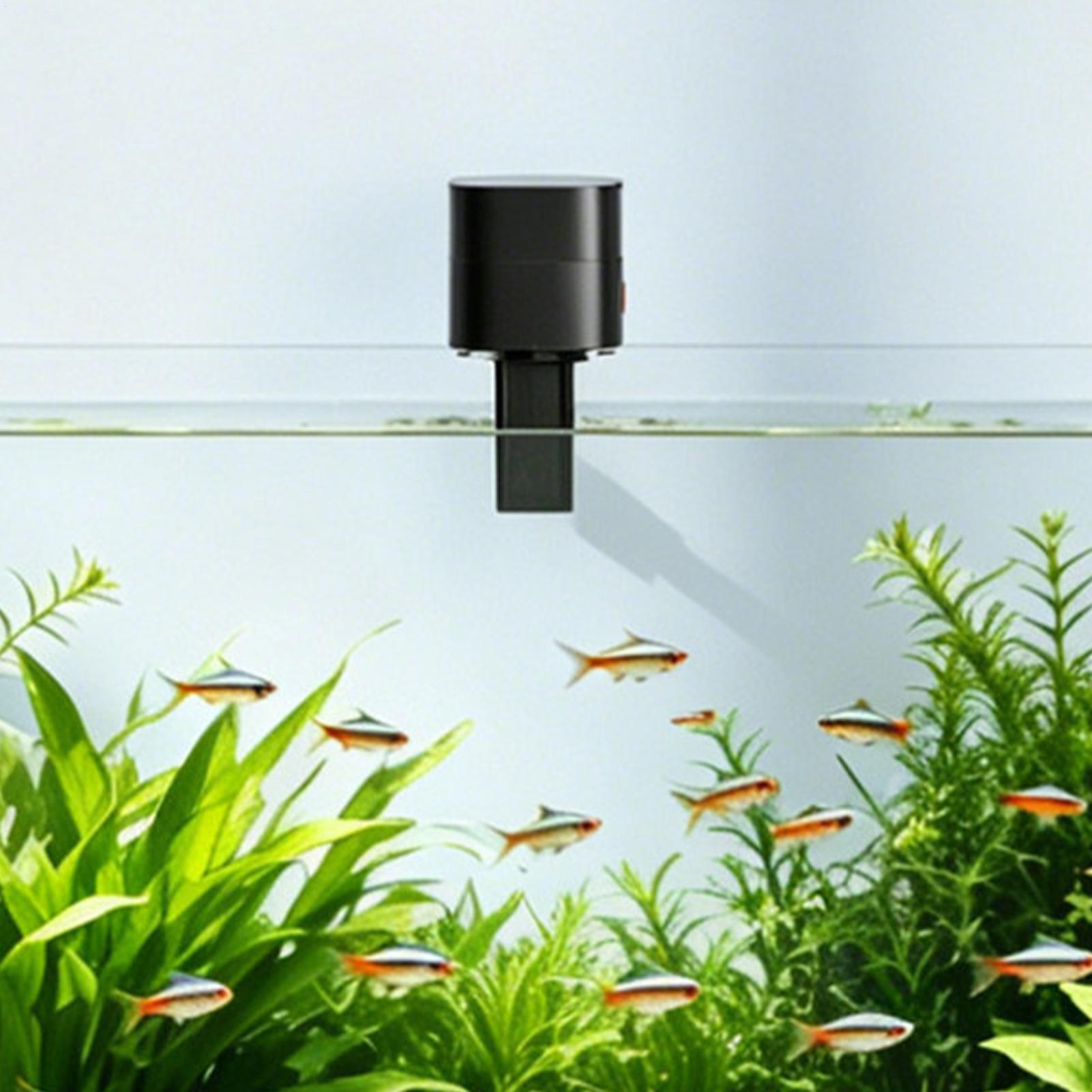 Автоматическая кормушка для ры – обзор и цена Fishing Line Dispenser